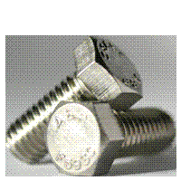HEX CAP SCREW STAINLESS