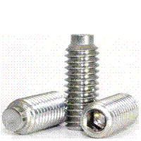 SOCKET SET SCREW HALF DOG SS